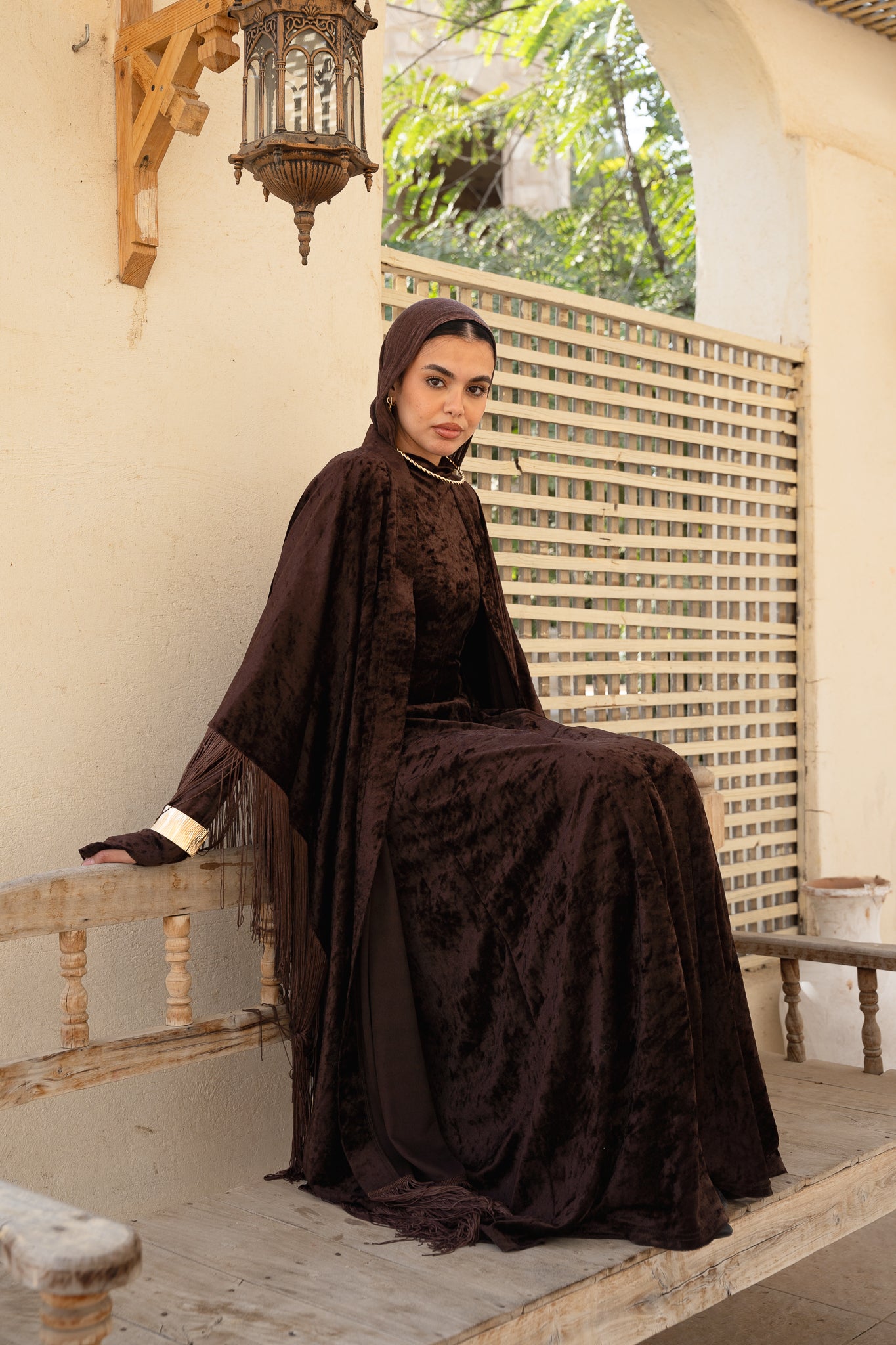 Aura Velvet Brown Dress