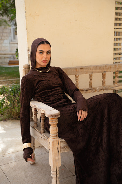Aura Velvet Brown Dress